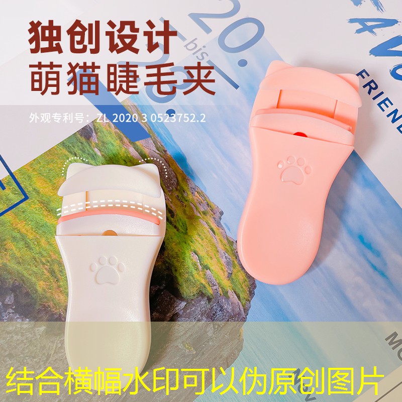 南通最大绿化苗市场在哪里